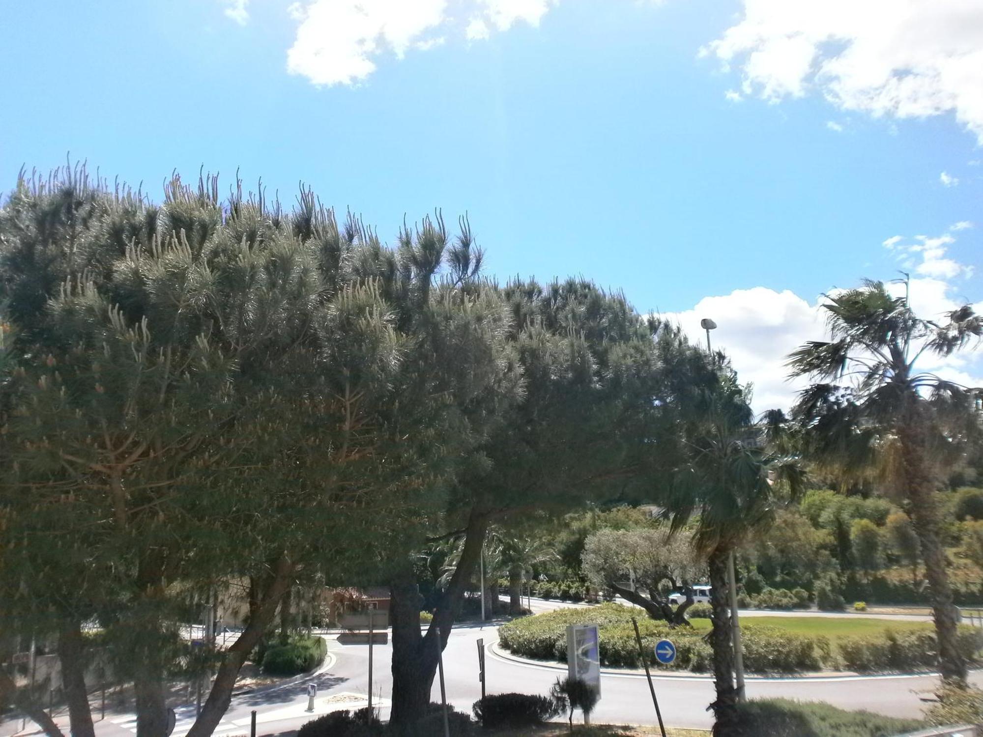 Hotel La Bastide Le Lavandou Cameră foto
